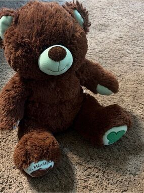 Build-A-Bear Brown Plush Teddy with Mint Green Accents